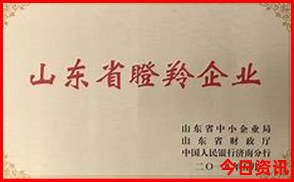 瑞丽旅游攻略必去景点推荐